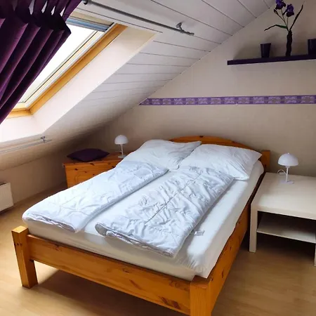 Haus Wiesenblick Holiday home